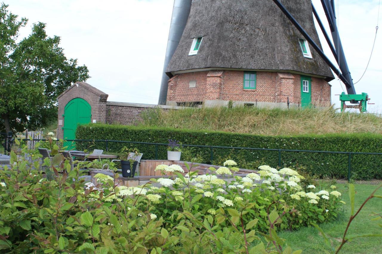 Bij Molen De Blazekop, Rustig En Landelijk Ovezande エクステリア 写真