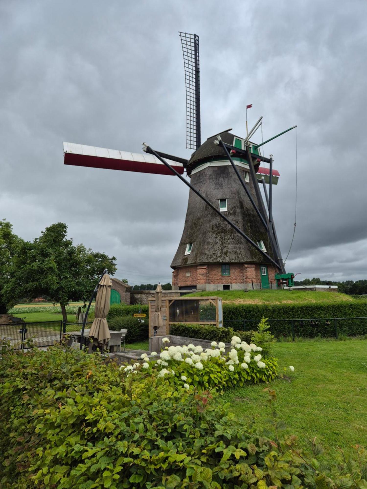 Ovezande Bij Molen De Blazekop, Rustig En Landelijkヴィラ エクステリア 写真